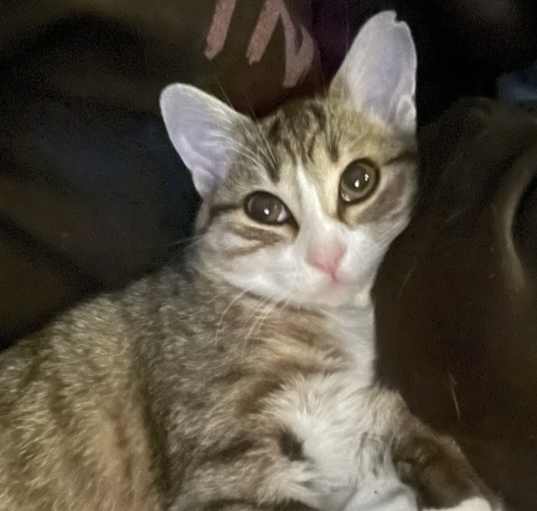Photo of Sofie