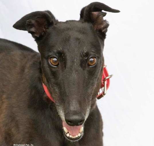 Photo of Sophie