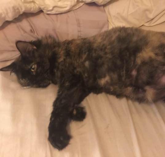 Photo of Beanie