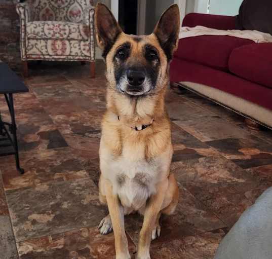 Photo of Lucy