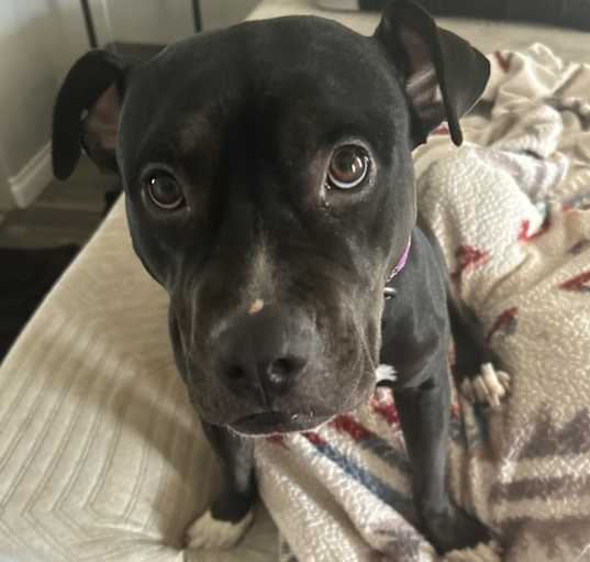 Photo of Faith