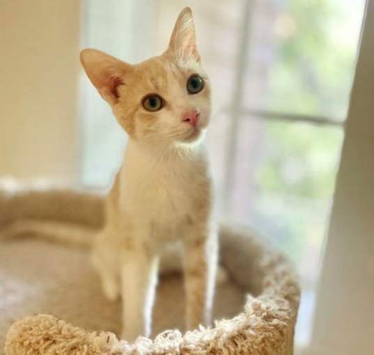 Photo of Charlotte