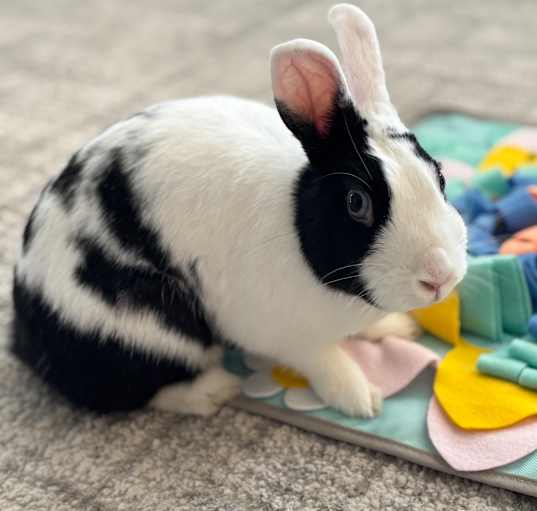 Photo of Marble