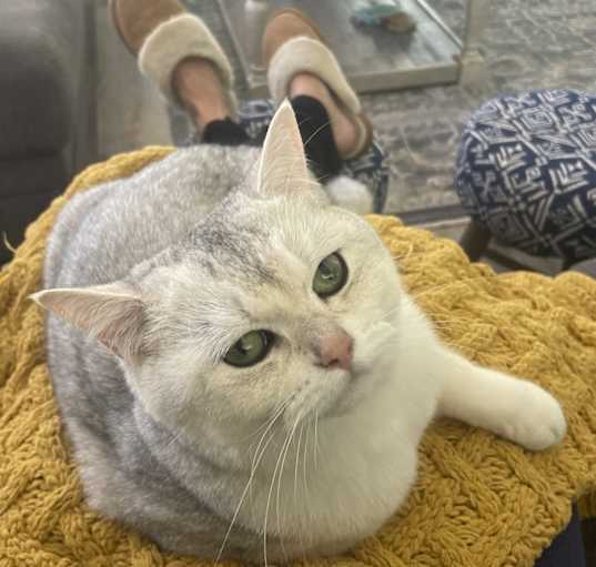 Photo of Charlie