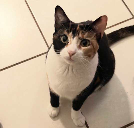 Photo of Lucky Lou