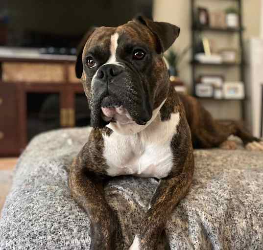 Photo of Bruce