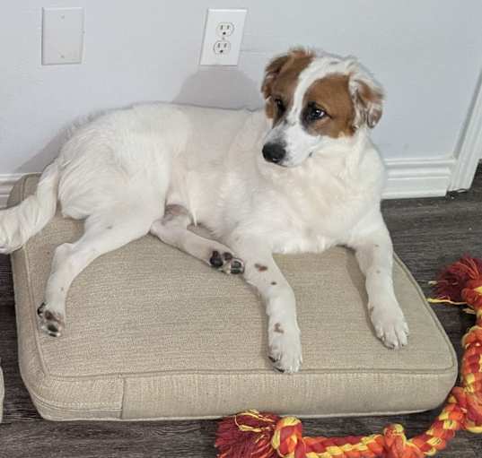 Photo of Duke