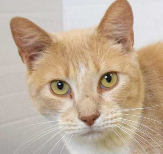 Photo of Sprinkles