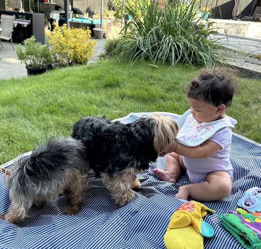 Photo of Bella and Hazel