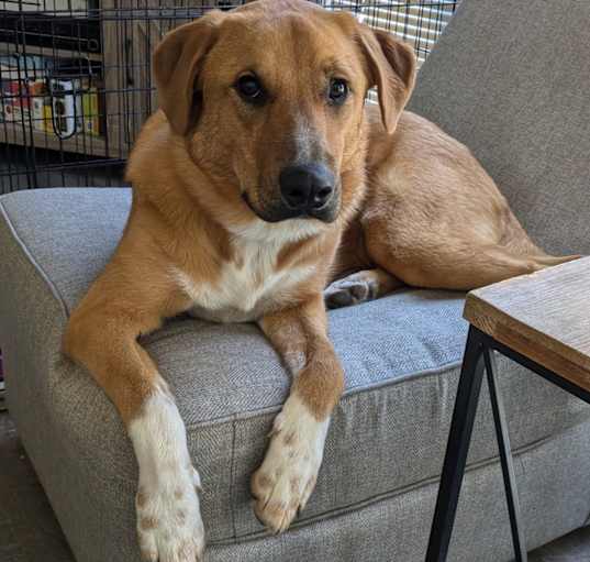 Photo of Cali