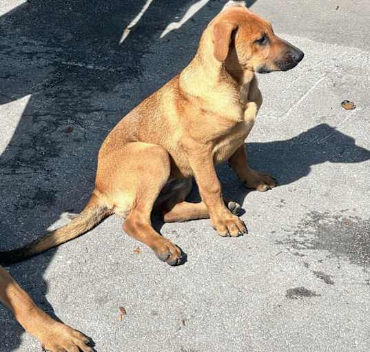 Photo of No name Yet