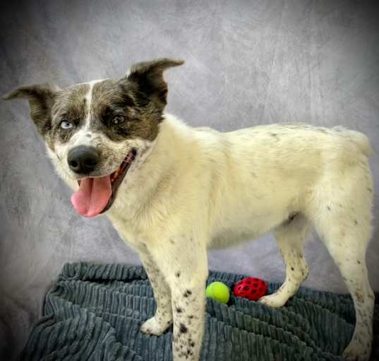 Photo of TULE