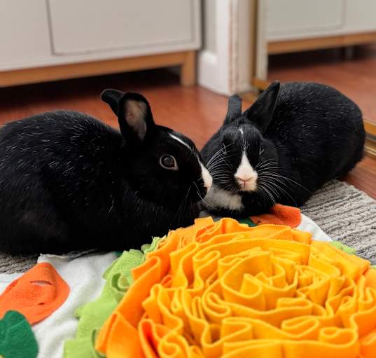 Photo of Aurora & Elsa