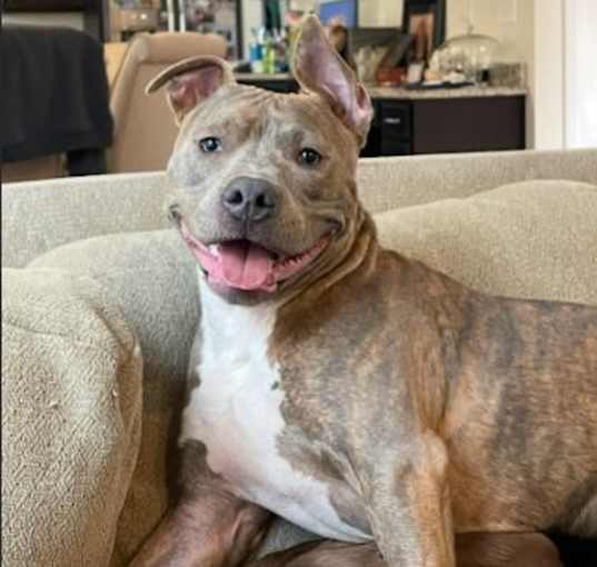 Photo of Sonar