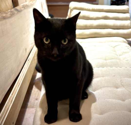 Photo of Spooky