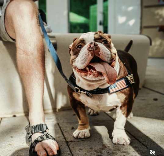 Photo of Tyson