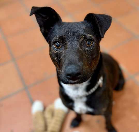 Photo of Nyla