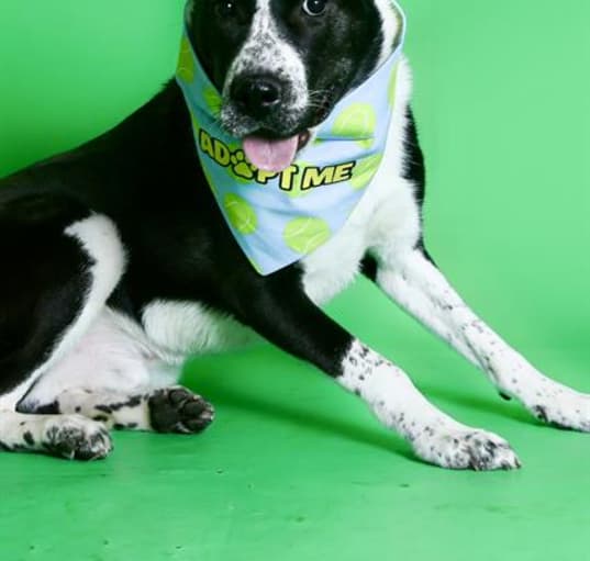 Photo of ELROY