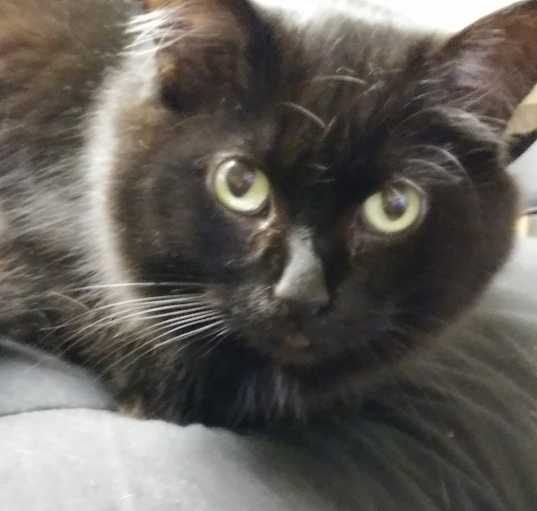 Photo of Hiedi