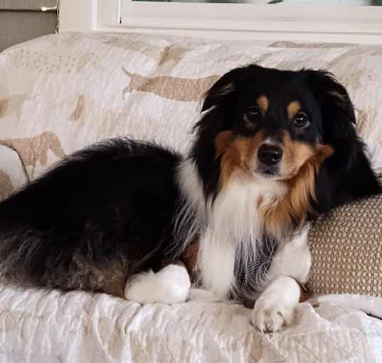 Photo of Gretchen