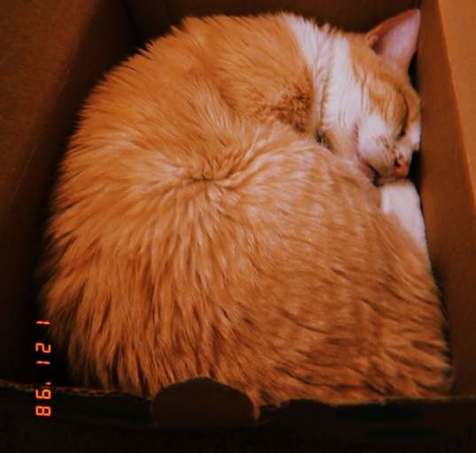 Photo of Dune