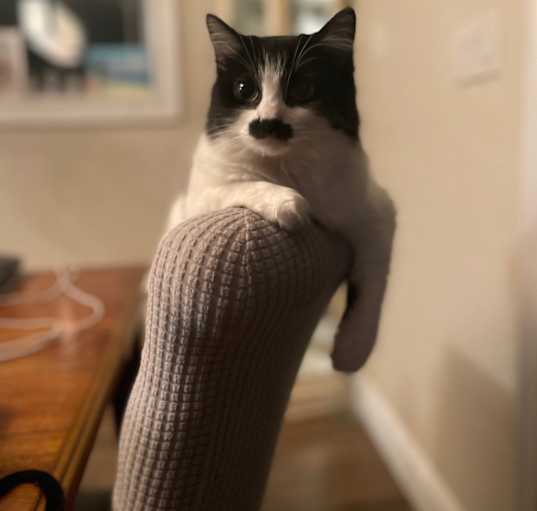 Photo of Momma