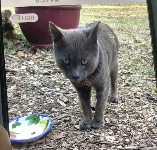 Photo of Simon