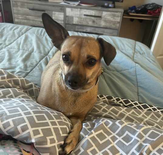 Photo of Fiona