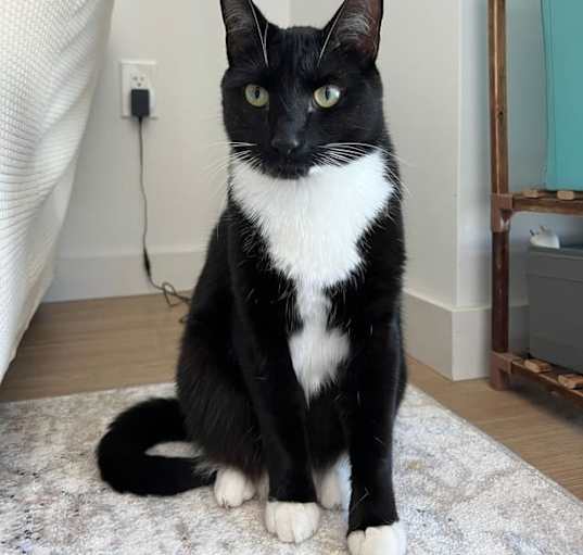 Photo of Sammie