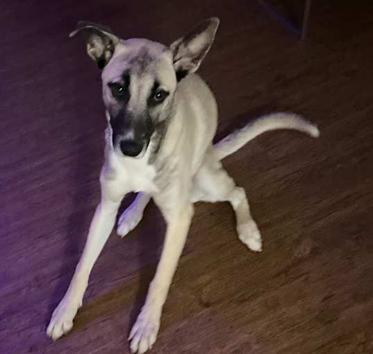 Photo of Sasha