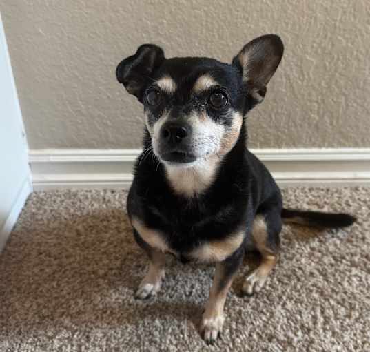 Photo of Sammy