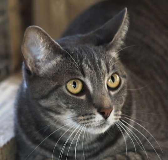 Photo of Anastasia