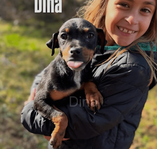 Photo of Dina