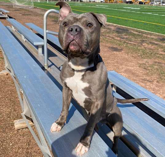 Photo of Jax