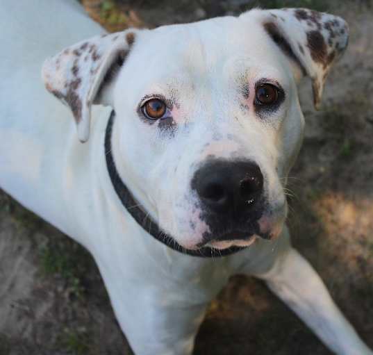 Photo of Nellie