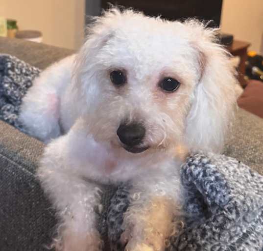Photo of Lala