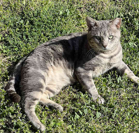 Photo of Swirly