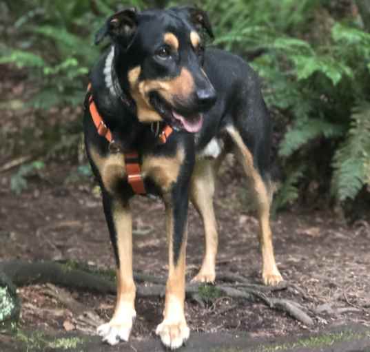 Photo of Jack