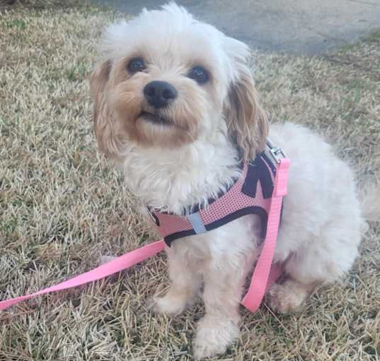 Photo of Ellie
