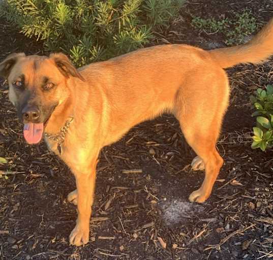 Photo of Lyla