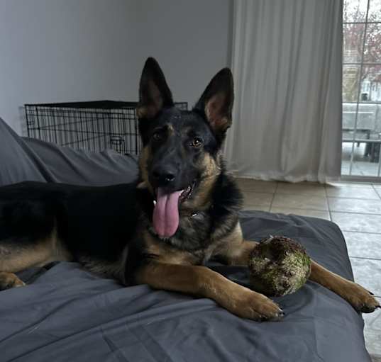 Photo of Aggie