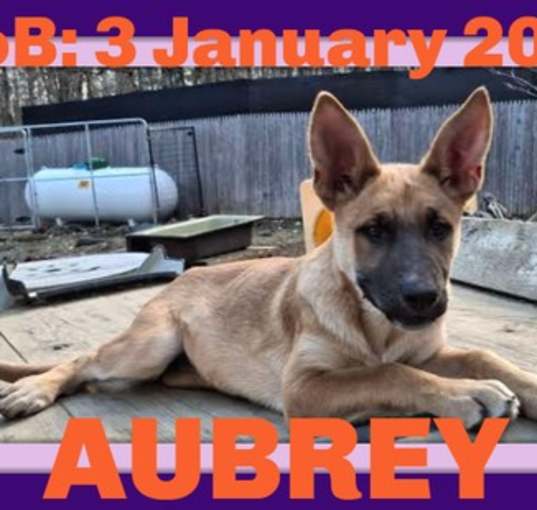Photo of AUBREY