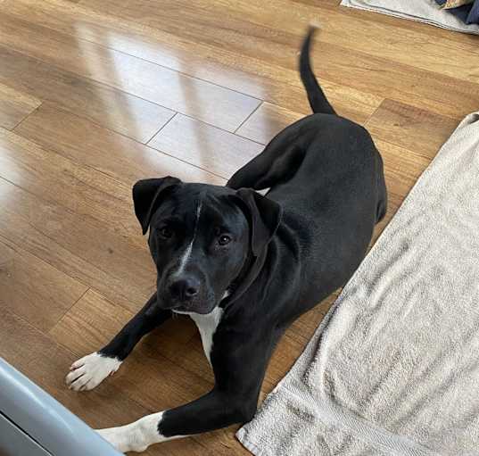 Photo of Jocko