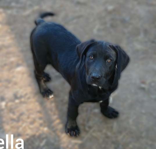 Photo of Isabella