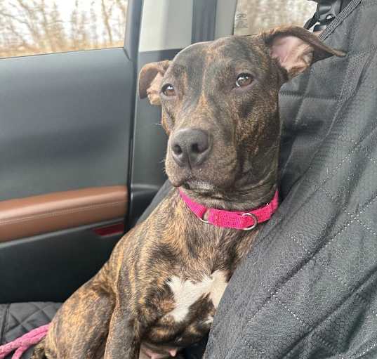 Photo of Arya