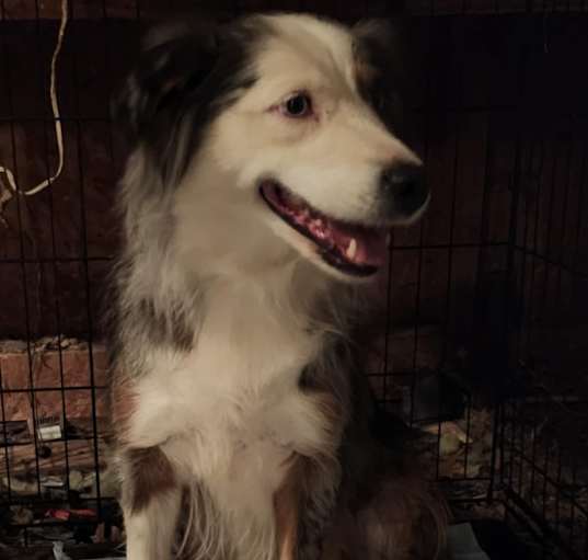 Photo of Dottie