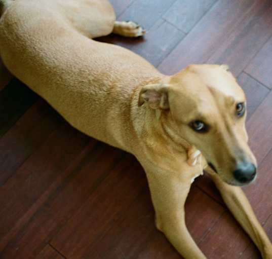 Photo of Peter