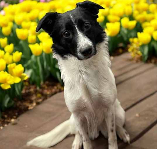 Photo of Princess Bella