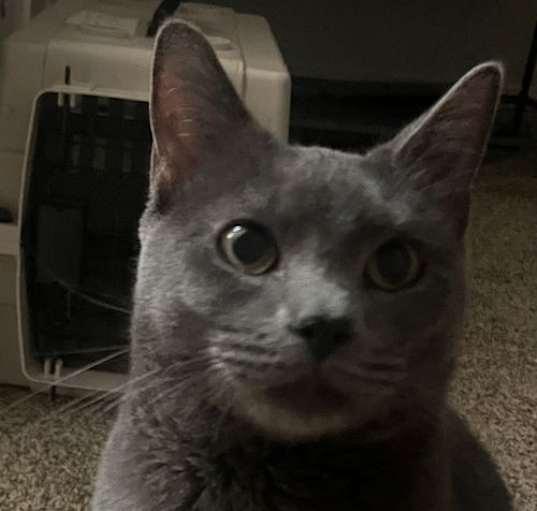 Photo of Zappo