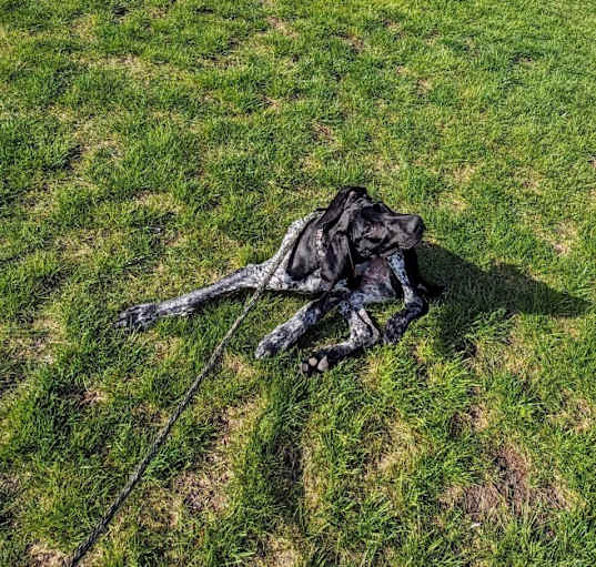 Photo of Baldur